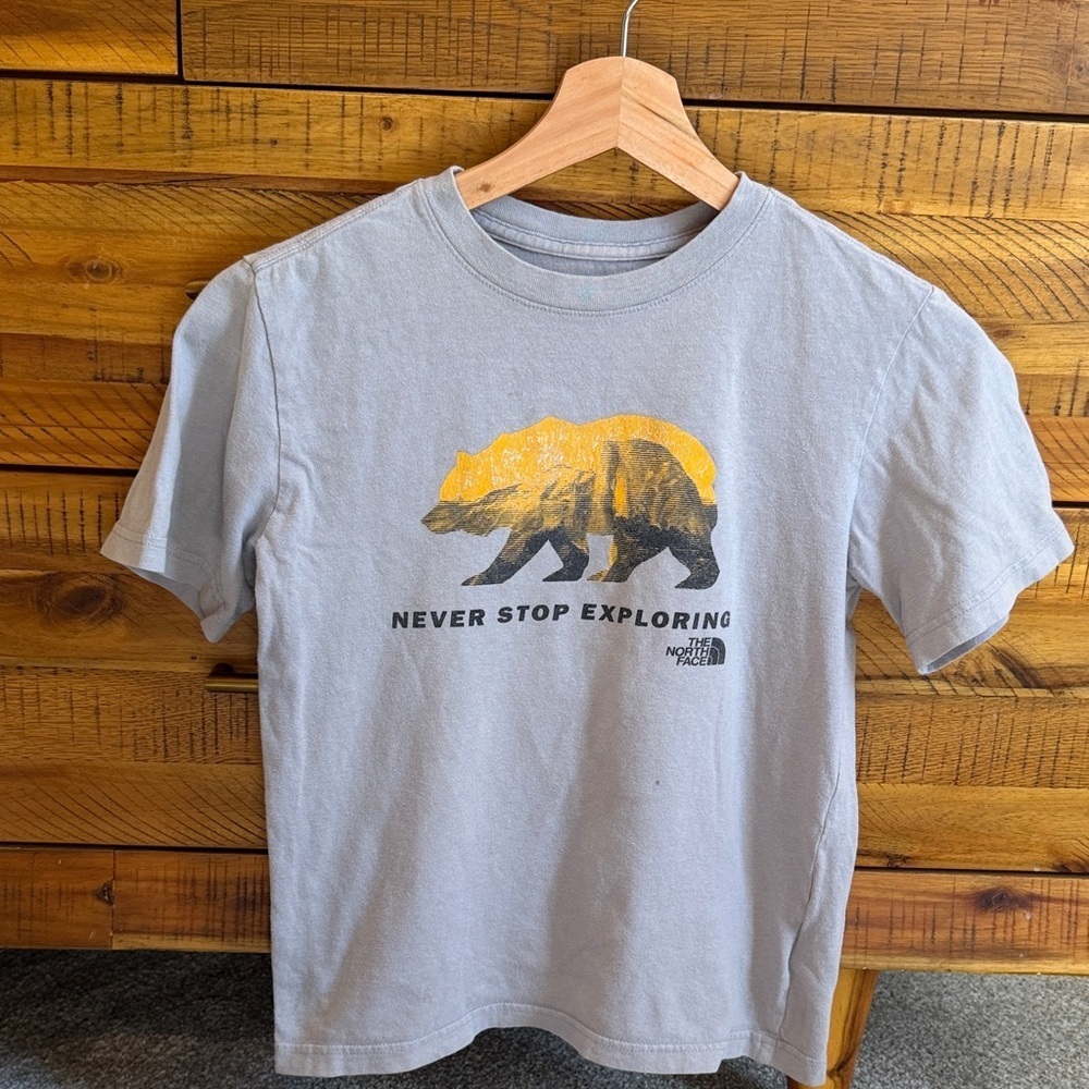 The North Face Gray T-Shirt with Bear Graphic